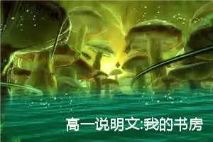 高一说明文:我的书房