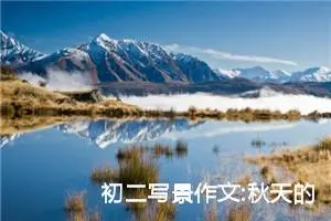 初二写景作文:秋天的银杏(二)