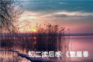 初二读后感:《繁星春水》读后感
