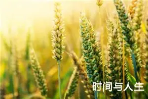 时间与人生