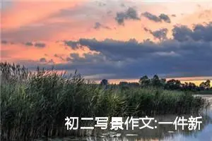 初二写景作文:一件新鲜事