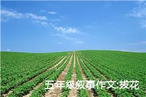 五年级叙事作文:拔花生