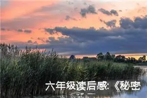 六年级读后感:《秘密花园》读后感（四）