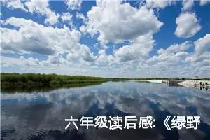 六年级读后感:《绿野仙踪》读后感2