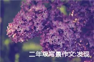 二年级写景作文:发现春天