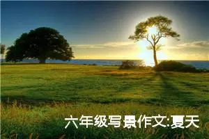 六年级写景作文:夏天的标志