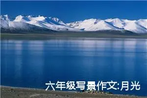 六年级写景作文:月光