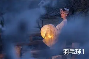 羽毛球1