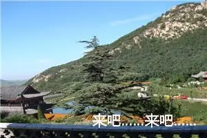 来吧……来吧……