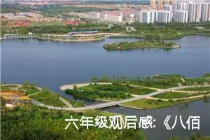 六年级观后感:《八佰》观后感八
