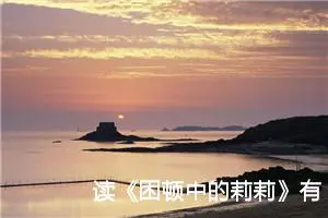 读《困顿中的莉莉》有感