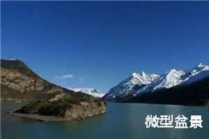 微型盆景