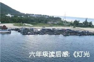 六年级读后感:《灯光》