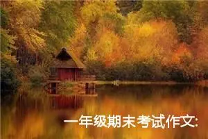 一年级期末考试作文:妈妈生病了