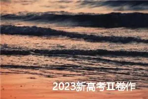 2023新高考Ⅱ卷作文题目（出炉）