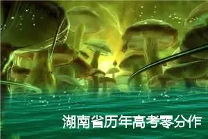 湖南省历年高考零分作文