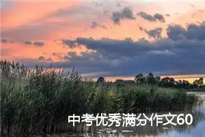 中考优秀满分作文600字7篇