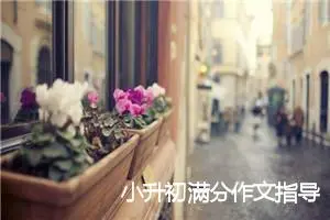 小升初满分作文指导