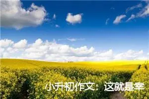 小升初作文：这就是幸福