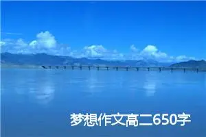 梦想作文高二650字（优秀2篇）