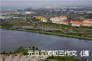 元旦见闻初三作文（通用范文9篇）