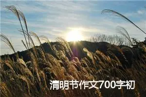 清明节作文700字初三（万能模板2篇）