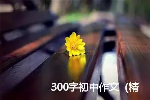 300字初中作文（精选7篇）
