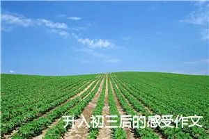 升入初三后的感受作文（通用11篇）