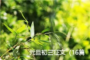 元旦初三征文（16篇汇总）
