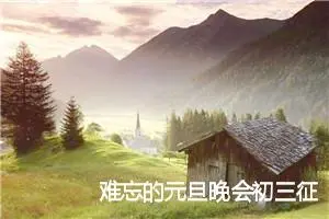 难忘的元旦晚会初三征文精选17篇（全文）