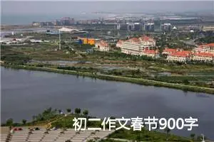 初二作文春节900字（4篇万能范文）