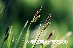 六年级剪纸作文500字（模板11篇）