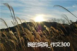 我的妈妈_作文300字_小学书信作文