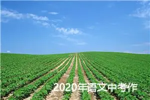2020年语文中考作文技巧_作文300字_中考作文指导