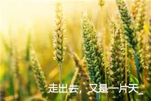 走出去，又是一片天_作文750字_初中综合作文