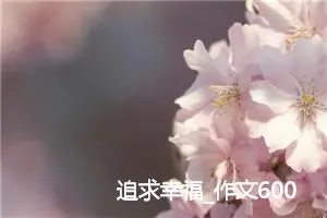 追求幸福_作文600字_初中议论文作文