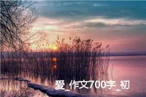 爱_作文700字_初中综合作文