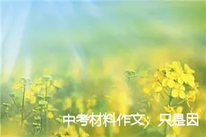 中考材料作文：只是因为那本书_作文750字_中考材料作文