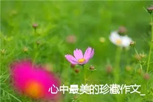 心中最美的珍藏作文_作文2300字_初三作文
