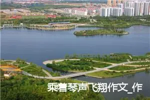 乘着琴声飞翔作文_作文3000字_初三作文