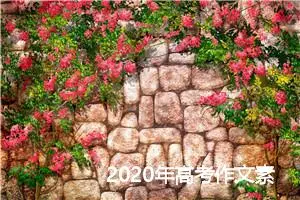 2020年高考作文素材积累：苦难是金_作文1150字_高考作文指导
