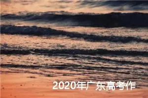 2020年广东高考作文评分细则及范文_作文1350字_高考作文指导