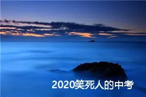 2020笑死人的中考零分作文赏析_作文650字_中考零分作文