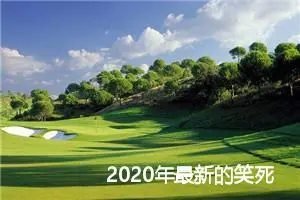 2020年最新的笑死人的中考零分作文精选4篇_中考零分作文