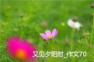 又见夕阳时_作文700字_高中优秀作文
