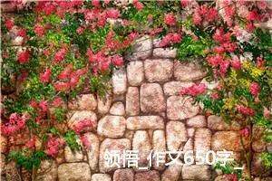 领悟_作文650字_高中优秀作文
