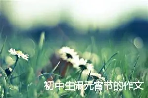 初中生闹元宵节的作文600字_初中节日作文