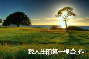 我人生的第一桶金_作文550字_高中优秀作文