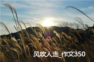 风吹人走_作文350字_高中优秀作文