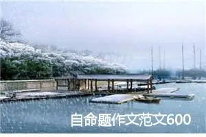自命题作文范文600字5篇_中考命题作文